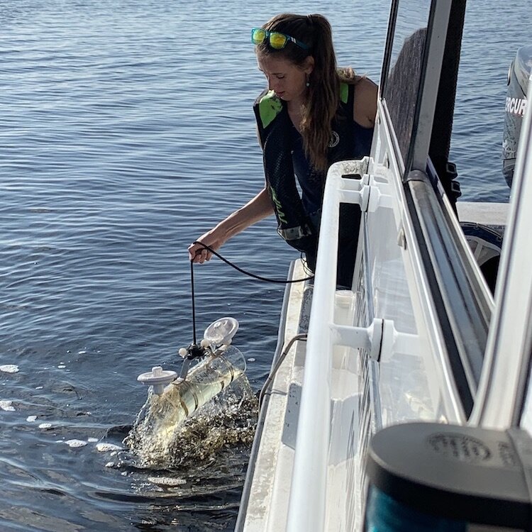 Researcher Kinsley McEachern hauls in the containers used to capture microplastics in Tampa Bay.