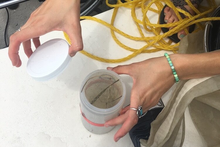 Water samples are collected in a plankton tow field.