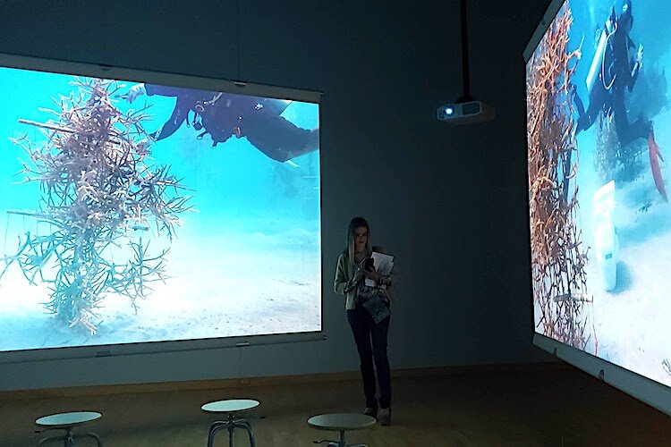 Swirling, Hope Ginsburg's 4-channel video installation, created with diver/videographer Matt Flowers and composer Joshua Quarles, and produced with support from the Wexner Center, submerges viewers in underwater coral nurseries of St. Croix.