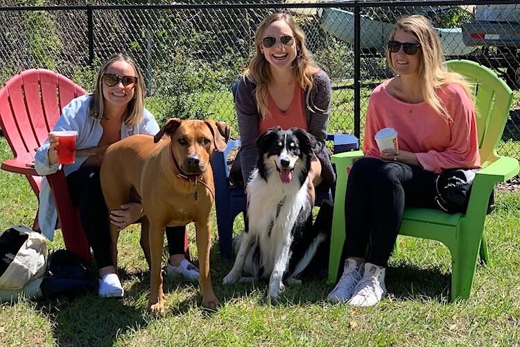 All smiles at the Hair of the Dog dog park.