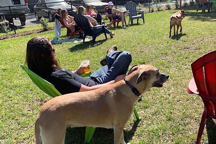 Lola and her human enjoy a beautiful day at Tampa's newest dog park.