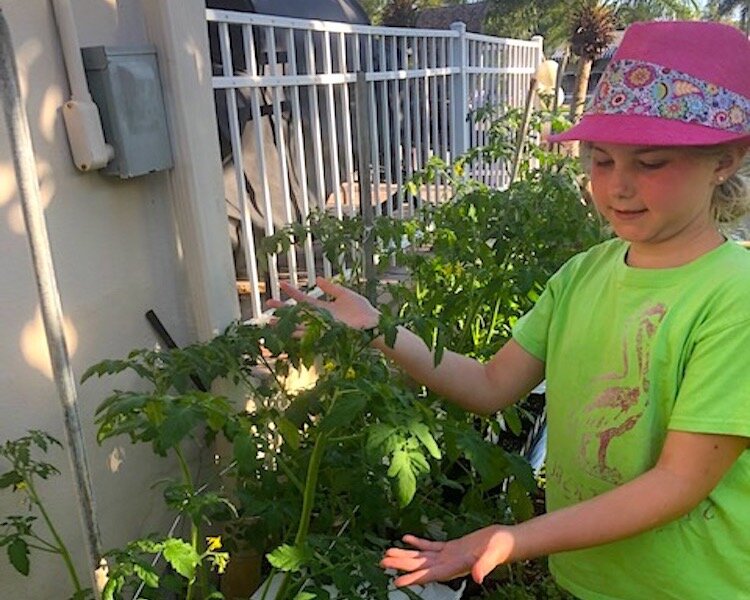 Paige Thompson checks the status of the existing herb garden.