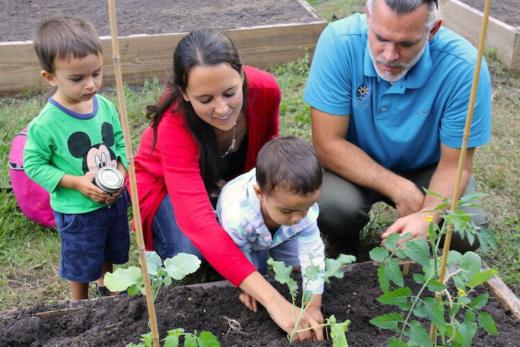 Community gardens provide fresh vegetables and opportunities for neighbors to get to know each other.