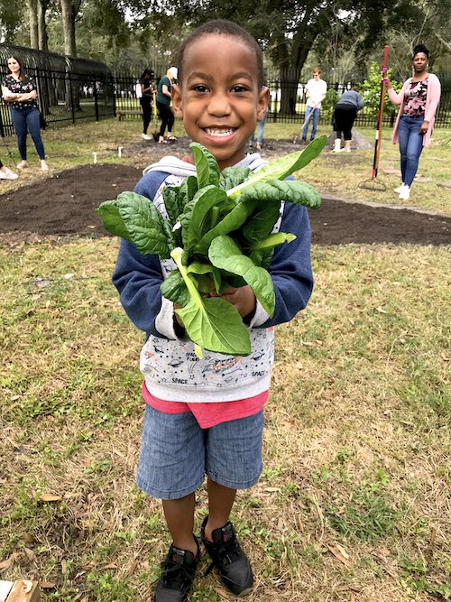 Family members share the work and production of community gardens in the University Area.