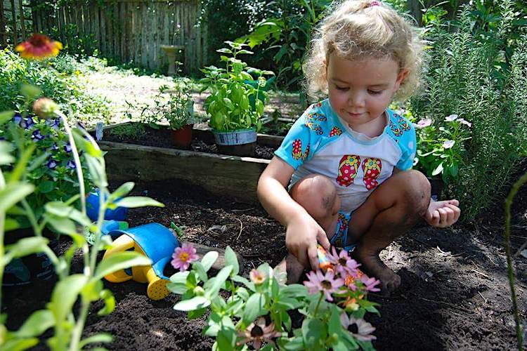 Creative Play Preschool will reopen August 12, but with a completely new concept built around outdoor learning and fun.