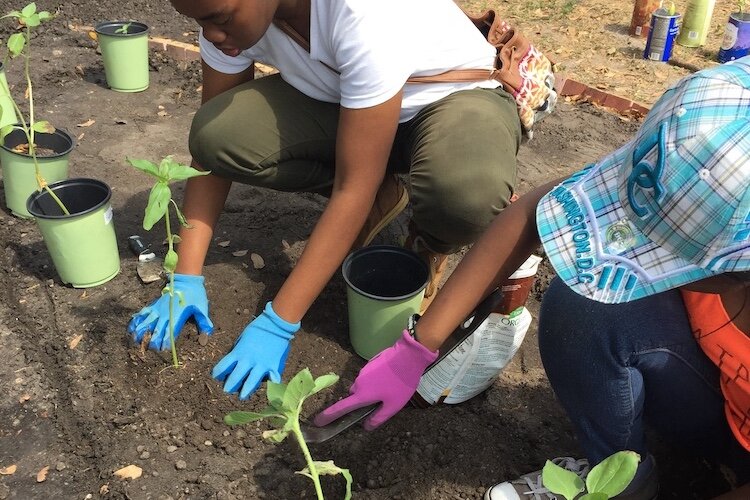 Scenes from a previous placemaking project called "Ixchel Song Garden."