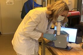 Ph.D. student Tiffany C. Miller tests the Bull Nose prototype in Dr. Salvatore Morgera's engineering lab at USF.
