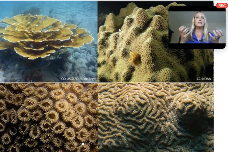 Mote scientists lead coral reef restoration efforts in the Florida Keys.