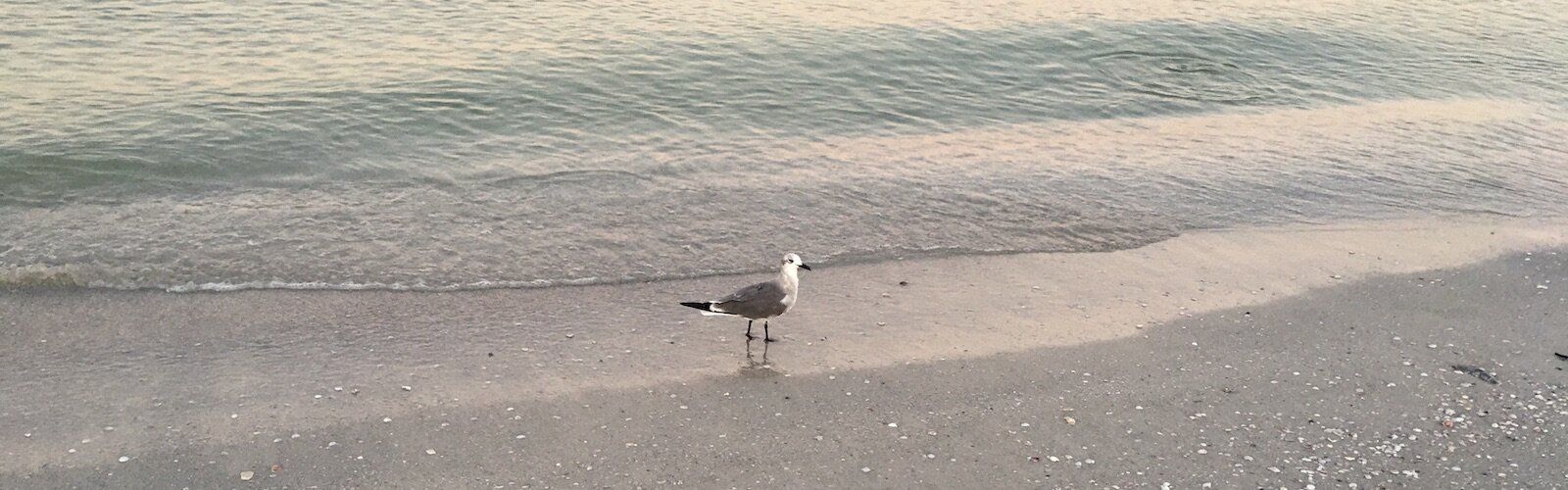 A Pass-A-Grille Beach visitor scrambles away from the incoming tide.