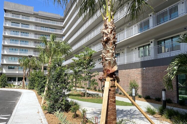 Most of the apartments are one-bedroom units, 650 square feet in Mary McLeod Bethune.