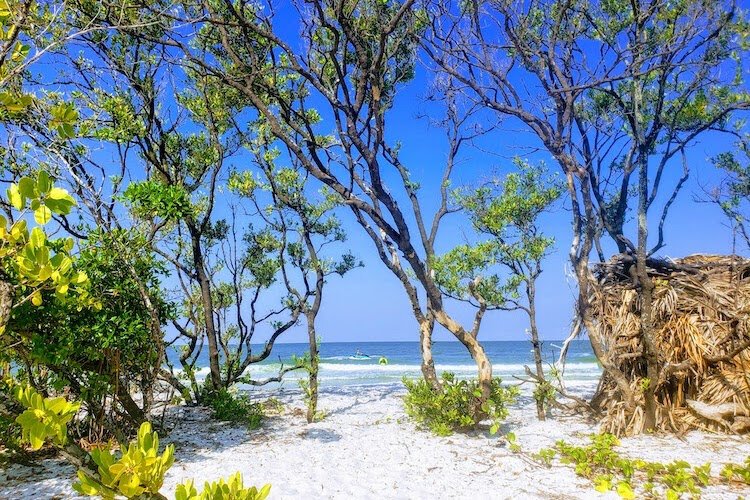 Designated a Hope Spot, the Florida Gulf Coast comprises unspoiled shores like this stretch of North Clearwater Beach just south of Caladesi Island.