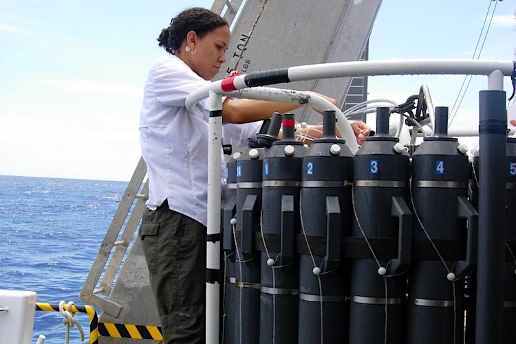 Dr. Karyna Rosario conducting field research for her work at the USF marine genomics lab.