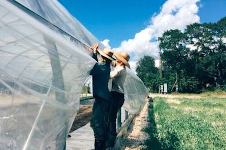 A trio of Florida farmers collaborated on building the small urban farm on the northern edge of downtown Tampa. 