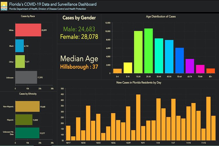 COVID-19 cases in Hillsborough County as of Nov. 16, 2020.