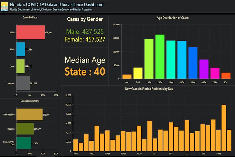 Demographic breakdown of COVID-19 cases in Florida as of Nov. 16, 2020.