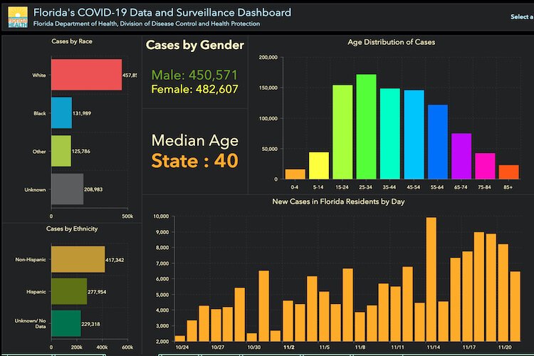 Demographic breakdown of COVID-19 cases in Florida as of Nov. 23, 2020.