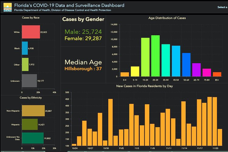 COVID-19 cases in Hillsborough County in Florida as of Nov. 23, 2020.