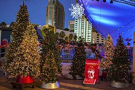The Tampa Downtown Partnership's annual Winter Village returns to Curtis Hixon Waterfront Park from November 18th to January 4th.