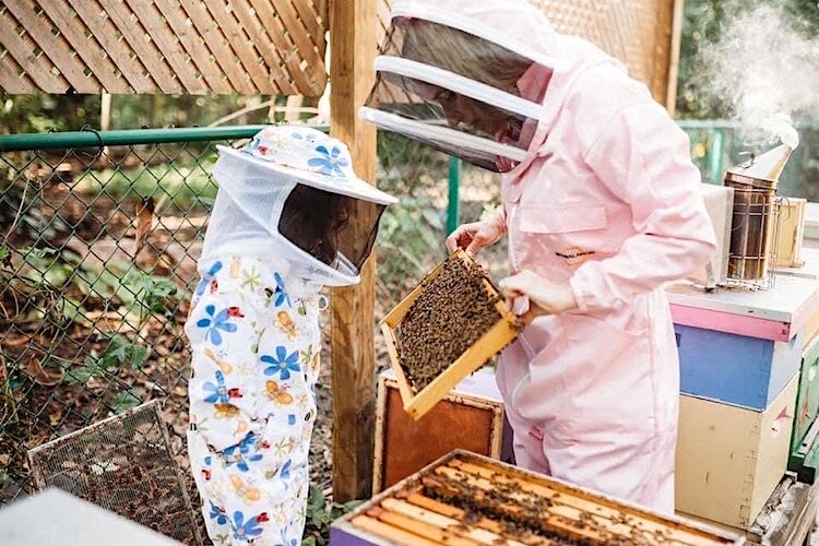 How's Your Day Honey is the buzzworthy backyard business venture of St. Pete beekeeper, Elisha Bixler.