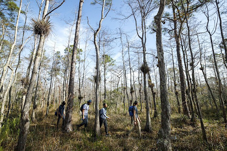 Taking a trek into Florida's ''Hidden Wild.''