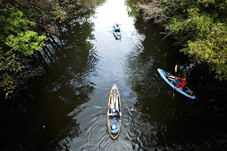 Part of the "Hidden Wild'' trek involves kayaking on natural streams in South Florida.