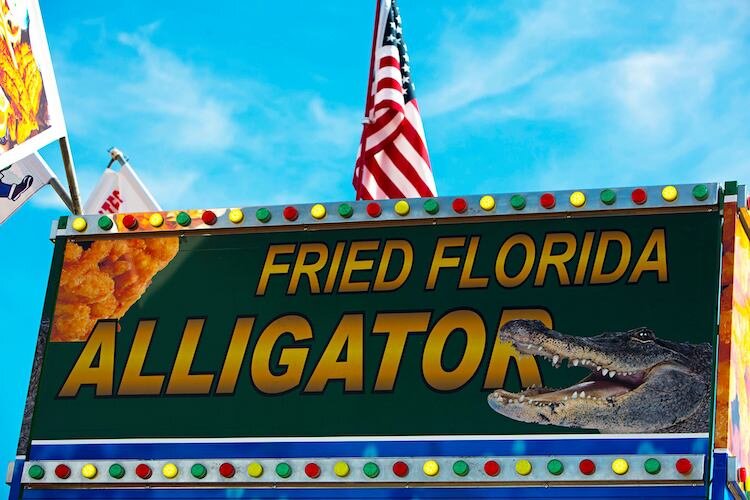 Few visitors get away from Florida without at least trying a little fried gator.