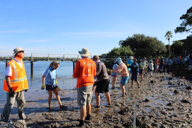 Community members install oyster bags to create a living shoreline in Ozona.