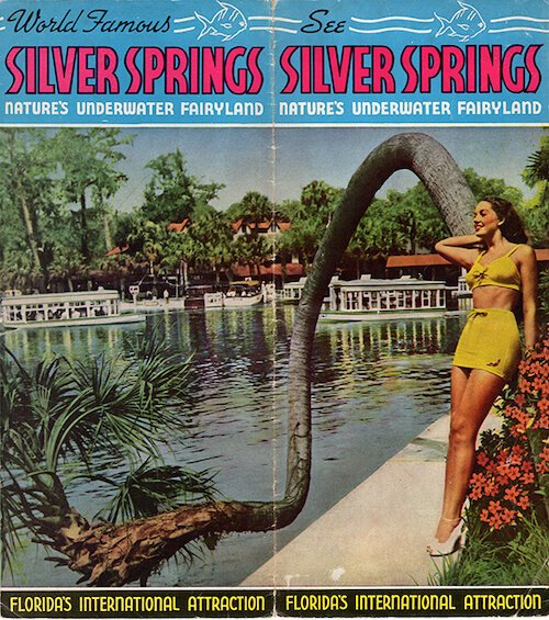 The Silver Springs attraction brochure featured a bathing beauty and the contorted lucky palm.