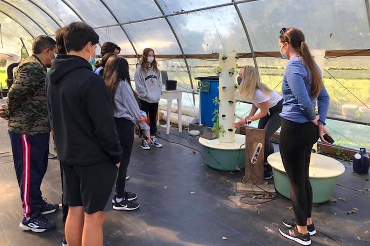 PCGS masters degree students work on a variety of food sustainability and climate resilience projects, ranging from virtual reality solutions for sustainable practices to aquaponics and hydroponics farming.