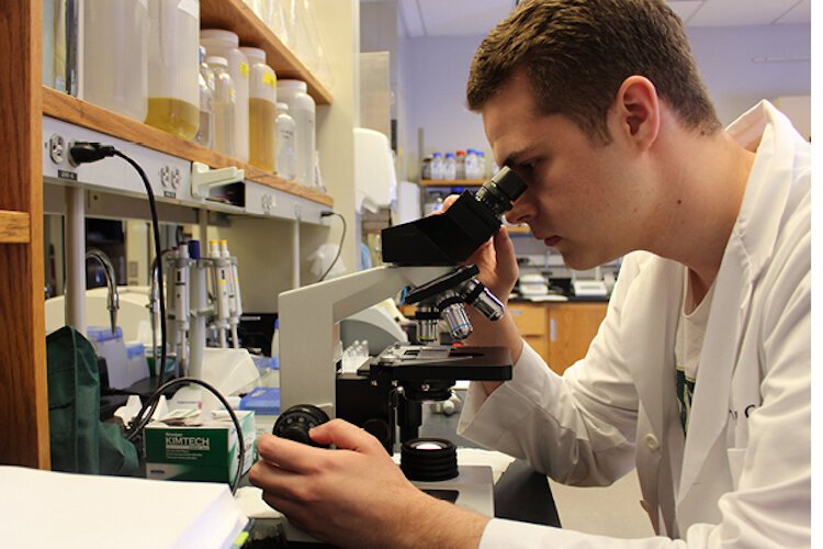 PCGS student Jeffrey Cox researches the physiology of algae in the USF Biofuels and Bioproducts Laboratory.