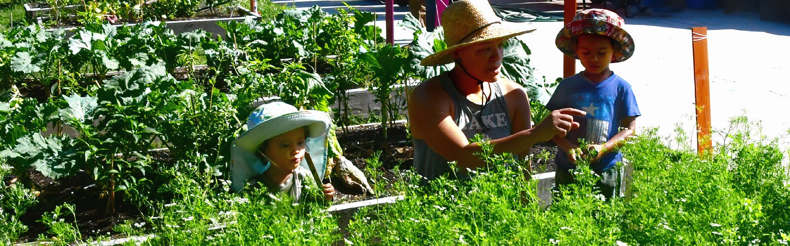 Dawn Elliot introduces her children to the joys of gardening and picking up fresh vegetables at Harvest Hope.