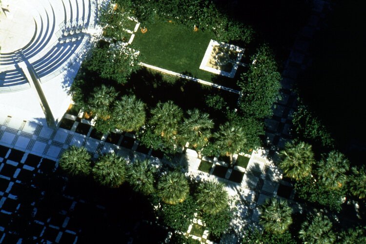 Trees once lined the park creating shade for humans and birds.