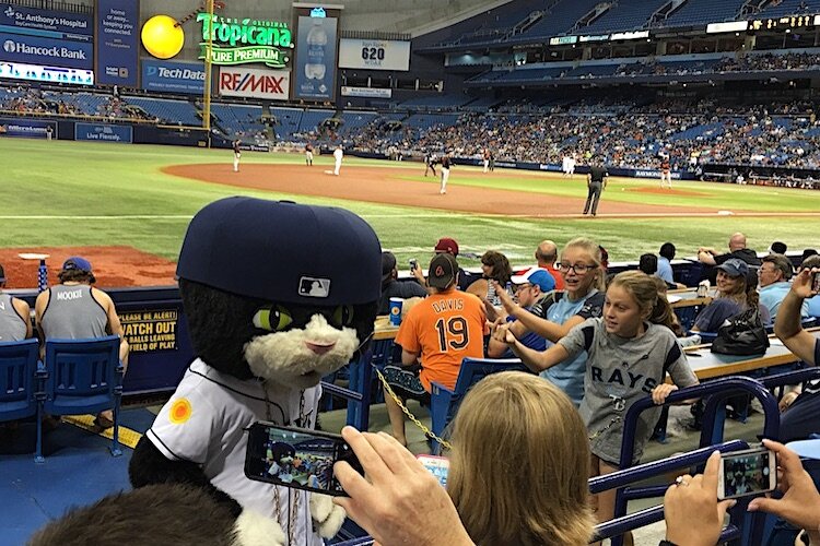 Rays mascot DJ Kitty (aka Kitty Tampa) works the crowd at Tropicana Field in St. Pete. The Rays are considering a move to Tampa as part of a Sister City proposal with Montreal.