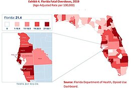 Pinellas, Pasco, and Manatee lead the Tampa Bay region in opioid problems.