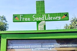 Seeds are offered to the community to help people grow their own food, at this St. Pete Youth Farms seed library.