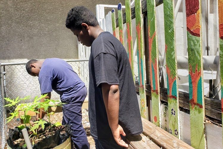 Middle school students tend to plants at the Hope Instruction Center, which is also part of the Healthy 22nd Street garden initiative.