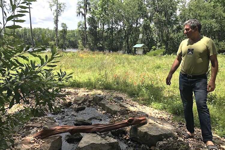 Invasive plants have been eliminated at Rosebud Continuum and replaced with native species to welcome Florida wildlife back into their natural habitat.