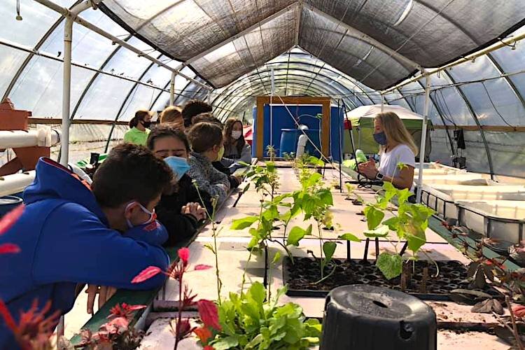 Patel College Global Sustainability M.A. student, Sheila Sullivan, leads a teaching session on greenhouse hydroponics at Rosebud Continuum.