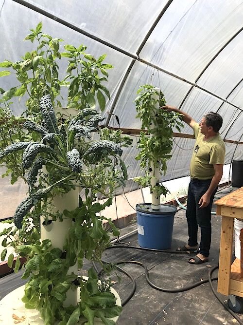 Patel College Professor T.H. Culhane shows off Rosebud Continuum's tower gardens that have been tweaked for best performance by USF students.
