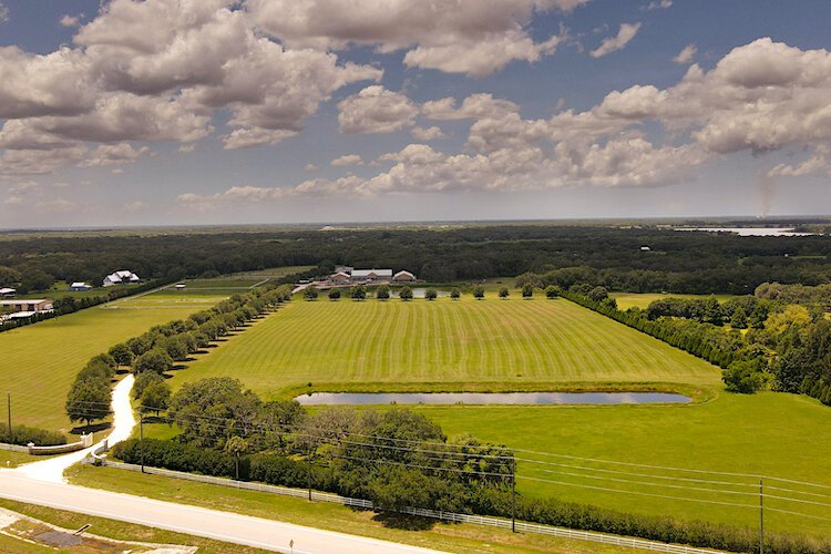 Resilient Retreat sits on 84 acres of conservation land in east Sarasota County. Facilities comprise just 1 percent of the property, allowing space to nurture the presence of local wildlife.