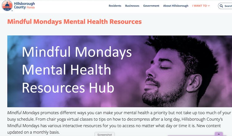 Hillsborough County offers a mental health resources guide.