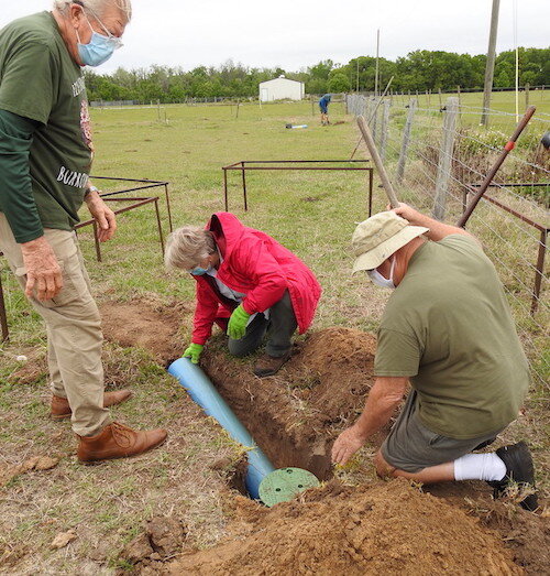 Tampa Audubon's Project Bur-O is working to install non-collapsible burrows for the state's dwindling population of burrowing owls.