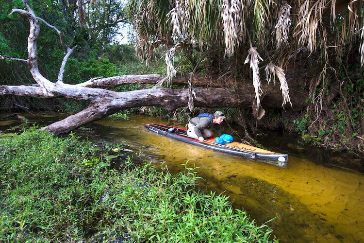 Biologist Joe Guthrie navigates Josephine Creek in Highlands County during the 2012 Florida Wildlife Corridor Expedition.