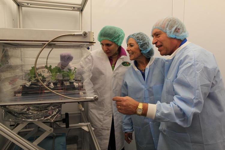 Betty and Ed Rosenthal of Florikan, right, check ground control plants with a NASA scientist at the Veggie Lab at Kennedy Space Center.
