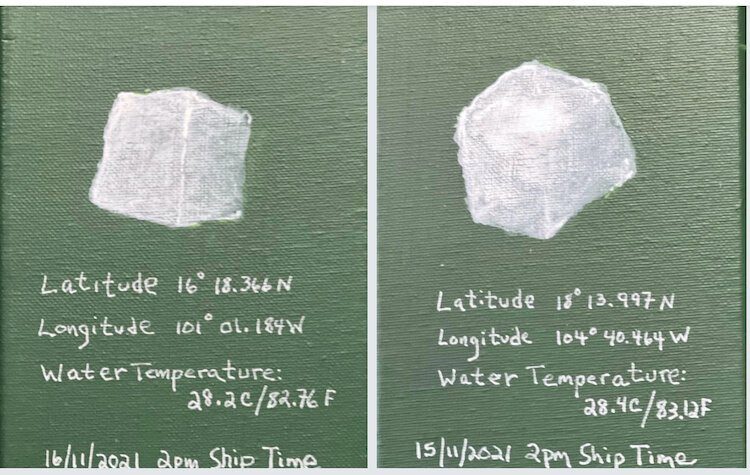 Each day, the couple films one of them dropping an ice cube into the ocean, symbolizing the need to cool the warming waters.