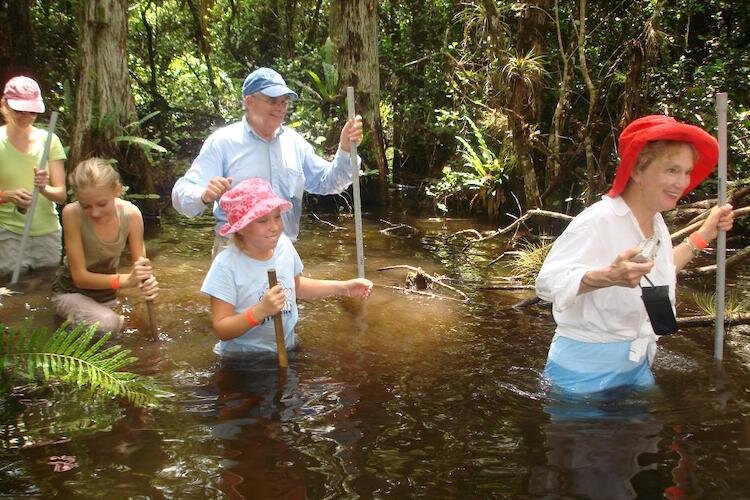 Family fun awaits on Big Cypress Swamp Walk.