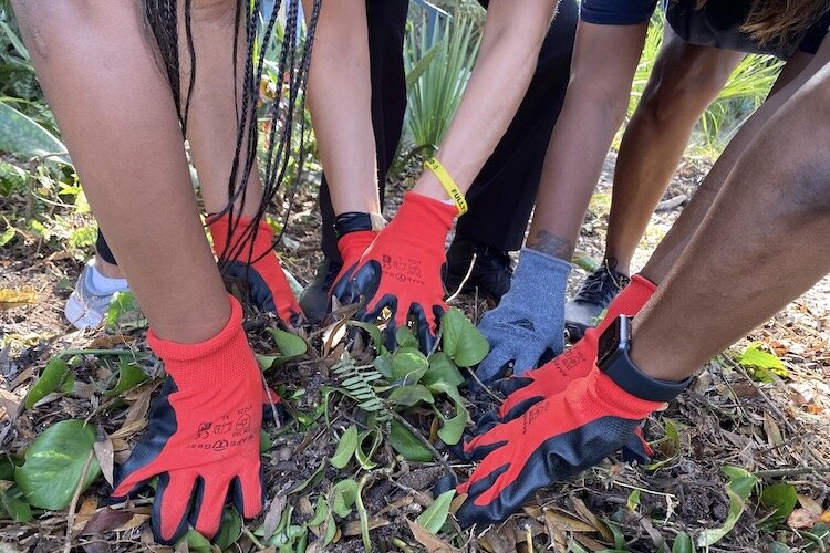 Volunteers pick up debris in front of Donna Cooper’s home in the Grant Park neighborhood of East Tampa.