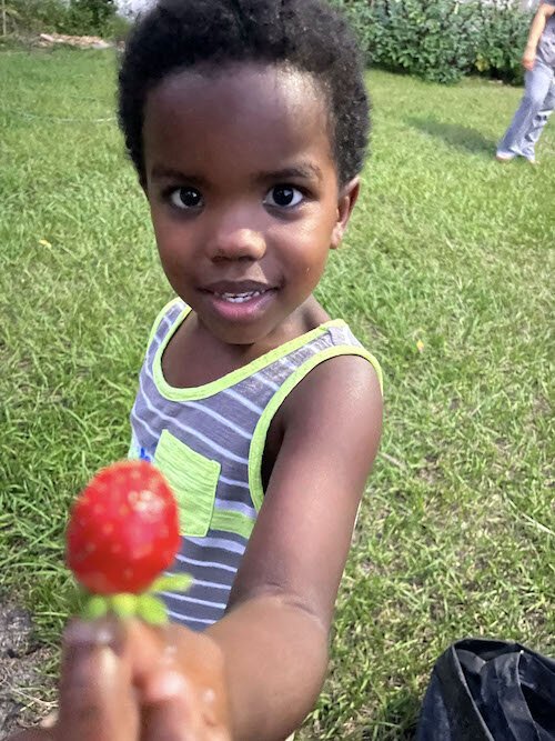 Farmer D’Wayne, Dee Morales’s 3 year-old-son shares a Strawberry from 813 Hood Garden.