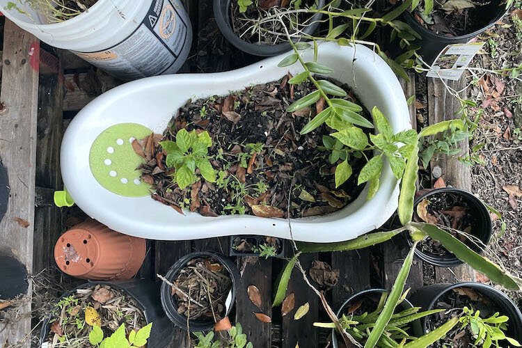 Close up image of the garden containers.