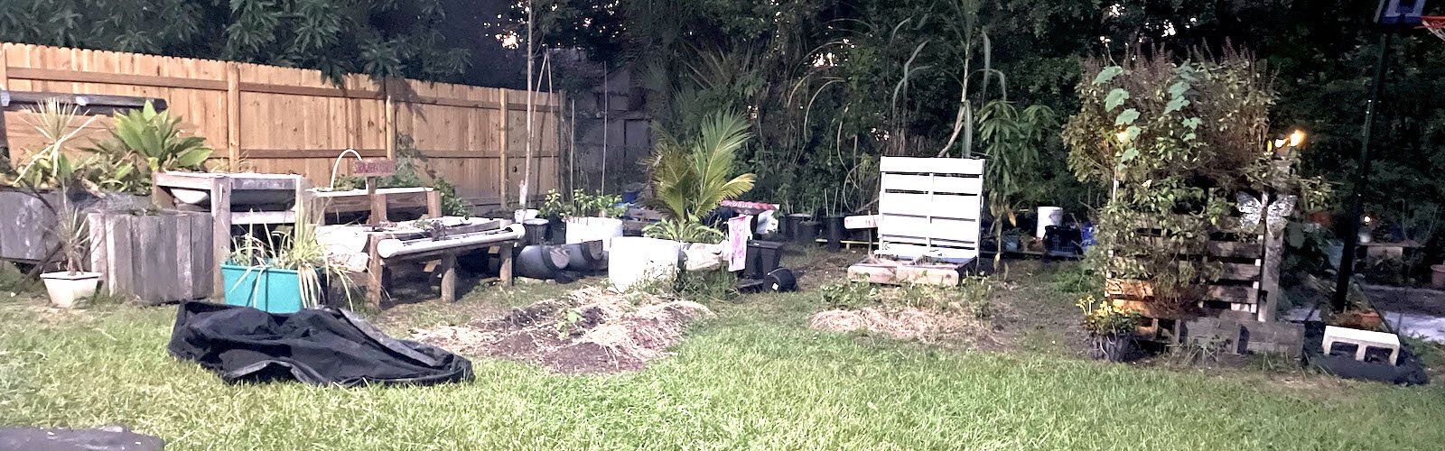 813 Hood Garden grows in a back yard in Sulphur Springs. The Founder, Dee Morales, would like to find space for a community garden in East Tampa.